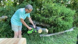 Greenworks 40v 12inch chainsaw review movie [upl. by Agace]