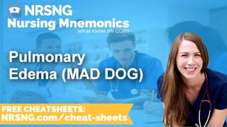 Pulmonary Edema MAD DOG Nursing Mnemonics Nursing School Study Tips [upl. by Eneleahcim]