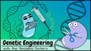 Genetic Engineering [upl. by Ricker522]