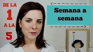 PRIMEROS SINTOMAS de EMBARAZO  PRIMER MES  SEMANAS 15 [upl. by Domash]