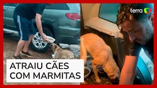 Vereador viraliza ao colocar cachorros de rua para comer dentro do carro durante chuva no RS [upl. by Francine494]