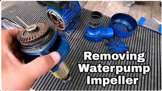 How to Remove Waterpump Impeller Without Puller [upl. by Eyeleen]