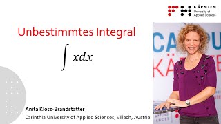 Das unbestimmte Integral [upl. by Flora]