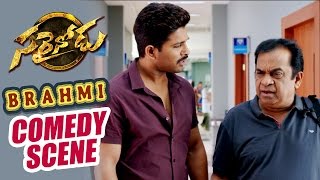 Home Theatre Comedy scene  Sarrainodu  Allu Arjun Rakul Preet Catherine Tresa [upl. by Whiting353]