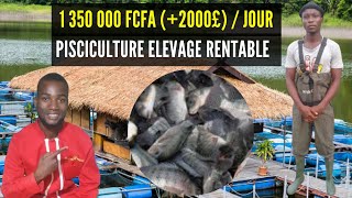 PISCICULTURE ELEVAGE TRES RENTABLE gagner 1 350 000 FCFA par jour en vendant des Larves de TILAPIA [upl. by Araz505]