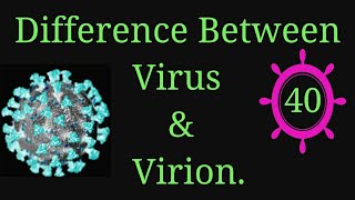 Virus amp Virion Virus viruses microbiology microbes infection shortsfeed EnteMicrobialWorld [upl. by Orsa]