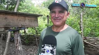 Meliponicultura criação de abelhas sem ferrão em Bom Princípio do Piauí [upl. by Heyde539]