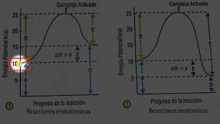 08 Energia de activacion y complejo activado [upl. by Sedrul668]