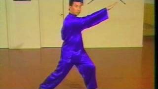 Choy Li Fut  Fighting Applications 15 [upl. by Refynnej232]