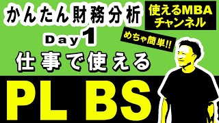 仕事で使える財務スキル①｜財務諸表（PL、BS、CF）の基礎知識と分析 [upl. by Fallon]