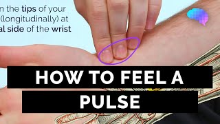 How to Feel a Pulse  Radial amp Brachial Pulses  OSCE Guide  UKMLA  CPSA [upl. by Eissed449]