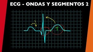 ECG  Ondas intervalos y segmentos 2  visita mi Podcast y aprende Medicina mientras descansas [upl. by Argus]