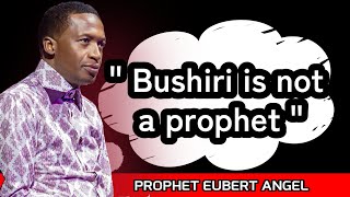 quotBushiri Is BEYOND A Prophetquot  Prophet Eubert Angel on Prophet Shepherd Bushiri [upl. by Dido]