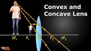 Convex and Concave Lenses [upl. by Douville349]