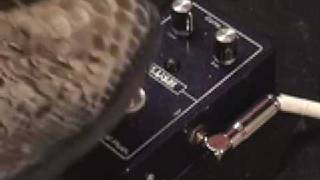 Fuchs Royal Plush Compressor guitar effects pedal demo with Roadworn Strat n Jaguar Jr amp [upl. by Eanrahs60]