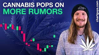 Cannabis Stocks Rally [upl. by Arnulfo53]