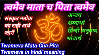 त्वमेव माता च पिता त्वमेव हिंदी अर्थ व भावार्थ सहित  Twameva Mata Cha Pita Twameva in hindi meaning [upl. by Aterg]