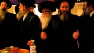 Kruly Horowitz  Brezan Friedman Hasidic Wedding [upl. by Yssirc]