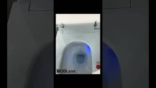 Multifunctional Bidet Toilet [upl. by Ahsina642]