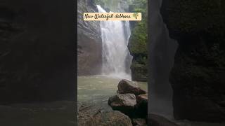 New waterfall Nature shorts feed [upl. by Tychonn757]