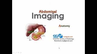 5 Radiological Anatomy Of The Abdomen  Prof Mamdouh Mahfouz [upl. by Stafani]