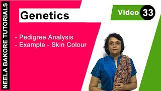 Genetics  Principles of Inheritance amp Variations  NEET  Pedigree Analysis  Example  Skin Colour [upl. by Alor]