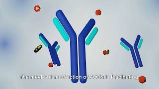 Unraveling the Power of AntibodyOligonucleotide Conjugates [upl. by Halsted]