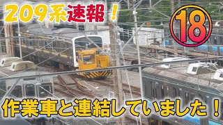 【4K】【209系伊豆高原車両区】作業車と連結していました！現在の状況⑱ [upl. by Olin]