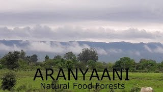 Aranyaani vid1 2017 [upl. by Buckley202]