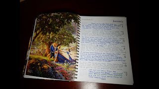 My Disney Diary Week 1 Beauty and the Beast [upl. by Yelloh58]