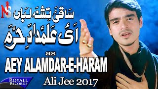 Ali Jee  Aye Alamdar E Haram  2017  1439 [upl. by Aire]