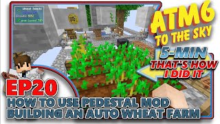 ATM6 TO THE SKY  How to use Pedestal Mod  Building an Auto Farm Upgrade  EP20 [upl. by Wootten]