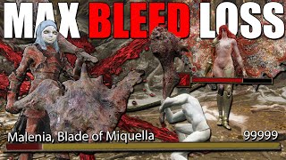 Breaking The Elden Ring DLC With MAX Bleed [upl. by Nah949]