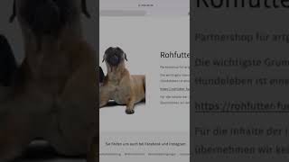 Produkttest Hundegeschirr Leckerli Tasche und Hundeschal von Lida Vel Hundezubehör NaturalCare69 [upl. by Kristi531]