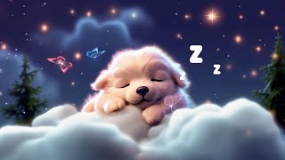 Calming Music For Bedtime 💤 Embrace A Night Of Pure Relaxation 🌿 Fall Asleep Quickly [upl. by Ankney]