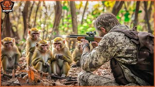 How Farmers Use Traps And Guns To Deal With Wild Boars And Monkeys Invasive  Invasive Species [upl. by Maure]