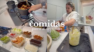 FAZENDO COMIDA PRA SEMANA TODA  Preparativos das comidas saudáveis para a semana [upl. by Nylasor]