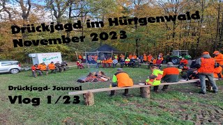 Drückjagd im Hürtgenwald November 2023  DrückjagdJournal  Vlog Folge 0123 [upl. by Mullac260]