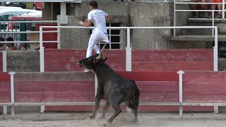 BARBENTANE24062024Course CamarguaiseAvenir [upl. by Tamiko]