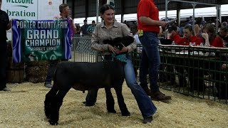 WATCH NOW Porter County Fair 4H auction [upl. by Kelda509]