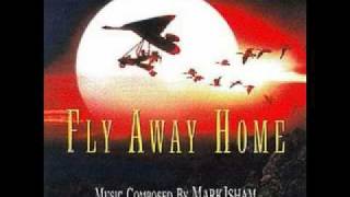 Fly Away Home Soundtrack  10000 Miles With Lyrics [upl. by Notyard]