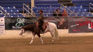 Titans 2018 Cactus Reining Classic Open Derby Run [upl. by Normac]