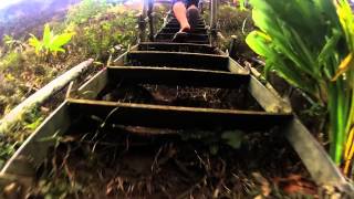 Stairway to Heaven Hike Hawaii  GoPro [upl. by Laehcor]