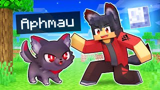 Playing As A LOYAL Werewolf KITTEN In Minecraft [upl. by Galligan]