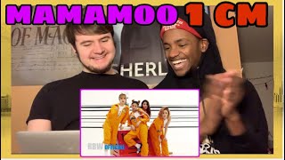 MAMAMOO 1cm Taller than You MV REACTION [upl. by Bounds491]