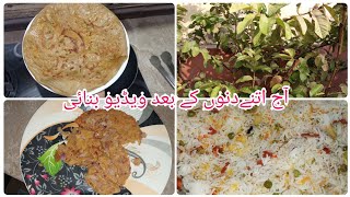 Vegetable fried rice  Routine vlog after a break FarahAbrar dailyvlogsdailyroutine [upl. by Aisitel]