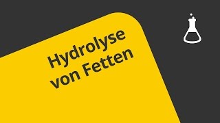 Gut verstanden Hydrolyse von Fetten Grundkurs  Chemie  Organische Chemie [upl. by Ehling]