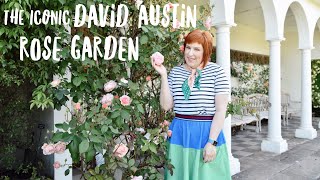 Inside the famous DAVID AUSTIN ROSE GARDEN in England [upl. by Alfredo566]