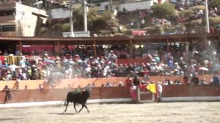 Toro da buen susto al publico en la Plaza de Toros Montecarmelo [upl. by Ysak322]