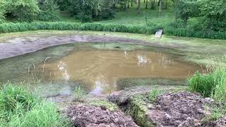 Dredging a farm pond with compact tractors Part 1 [upl. by Ennalorac]